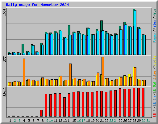 Daily usage for November 2024