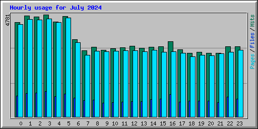 Hourly usage for July 2024