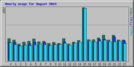 Hourly usage for August 2024