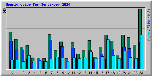 Hourly usage for September 2024