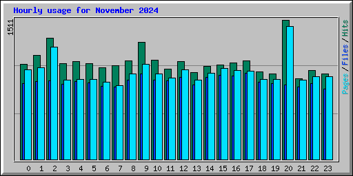 Hourly usage for November 2024