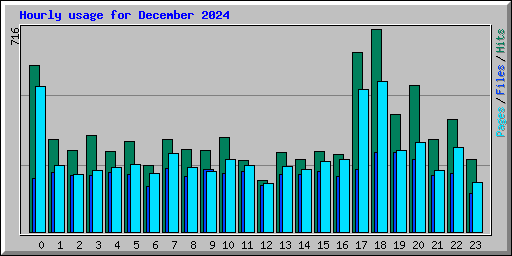 Hourly usage for December 2024