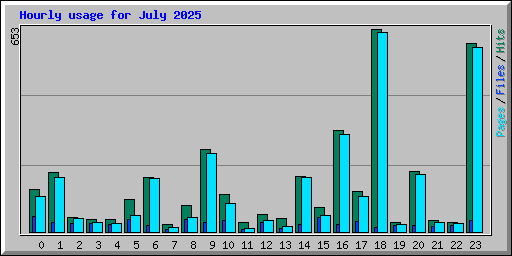 Hourly usage for July 2025