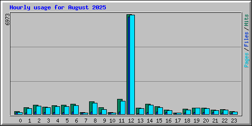 Hourly usage for August 2025