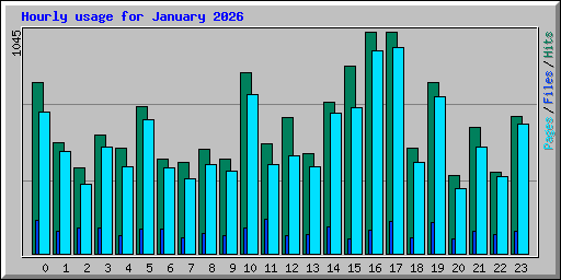 Hourly usage for January 2026