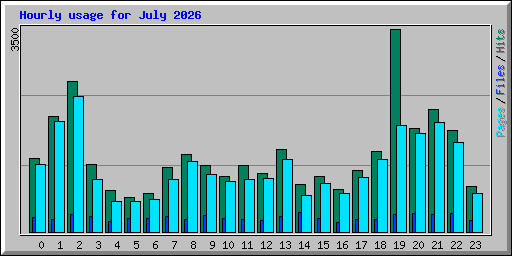 Hourly usage for July 2026