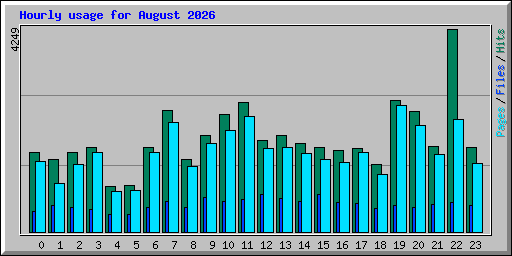 Hourly usage for August 2026