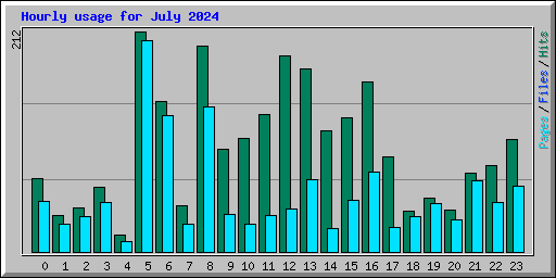 Hourly usage for July 2024