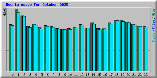 Hourly usage for October 2025