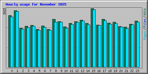 Hourly usage for November 2025