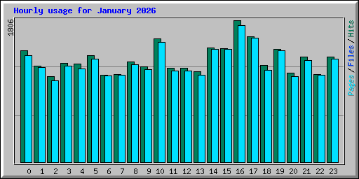 Hourly usage for January 2026