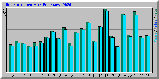 Hourly usage for February 2026