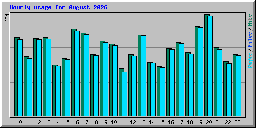 Hourly usage for August 2026